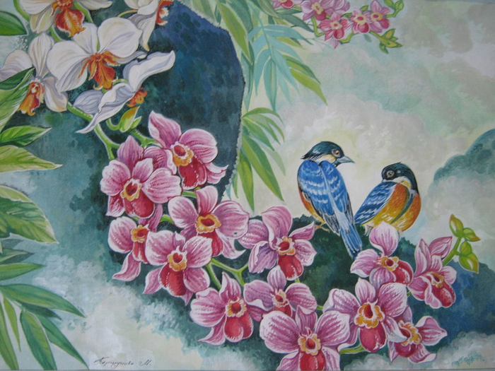 орхидеи и птицы