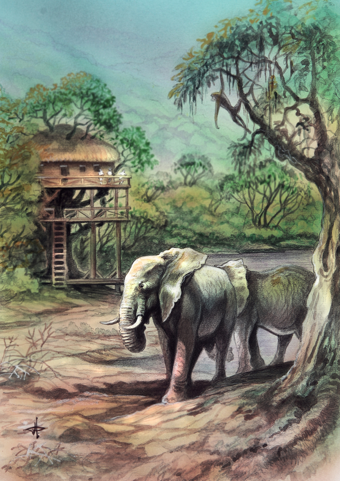 Гигантский фикус...