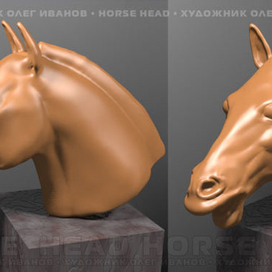 Horse head