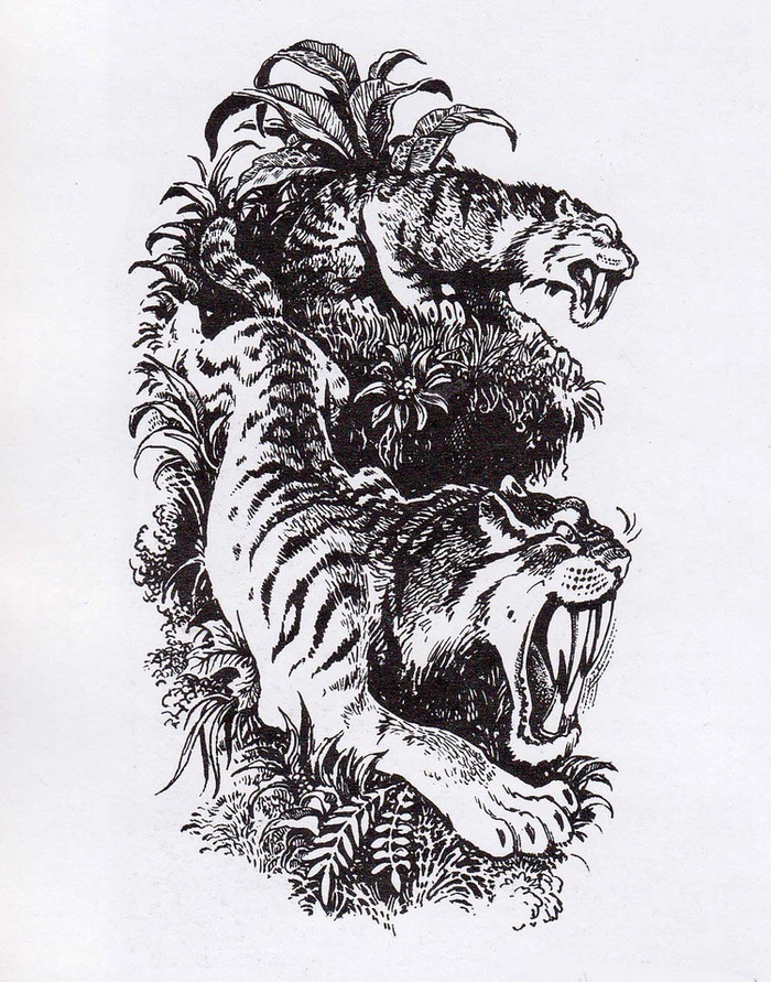 Соплезубые тигры