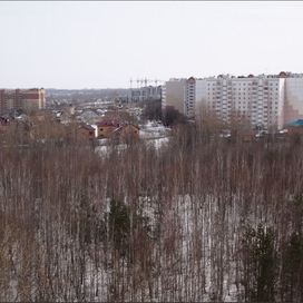 Ноксинский Лес Восток