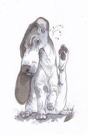 Блохастый бассет-хаунд