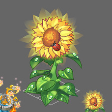 Солнечно-лунный Сад