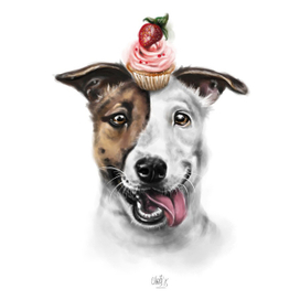 Джек-рассел портрет собаки
