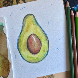 Avocado