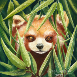 Красная панда в листьях