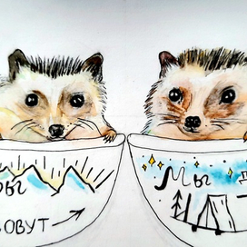 Семья ёжиков