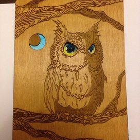 Сова на деревянной обложке 