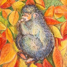 Спящий ёжик