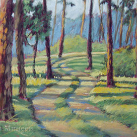 Дорога в сосновом лесу