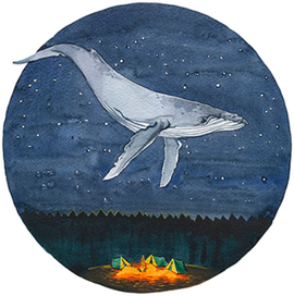 Из серии киты.