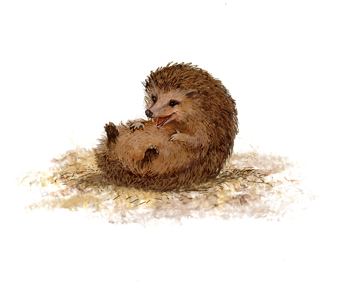 Ежик смеется) Концовка