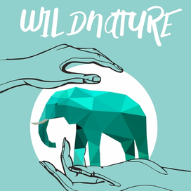 Плакат к конкурсу