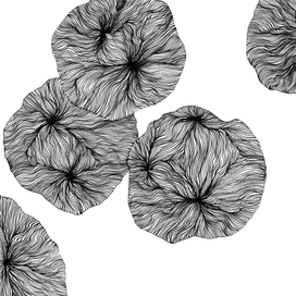 Живая линия