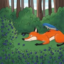 Черничная полянка.