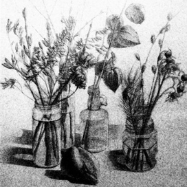 Натюрморт с сухими цветами