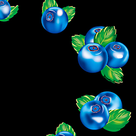 Ягоды черники