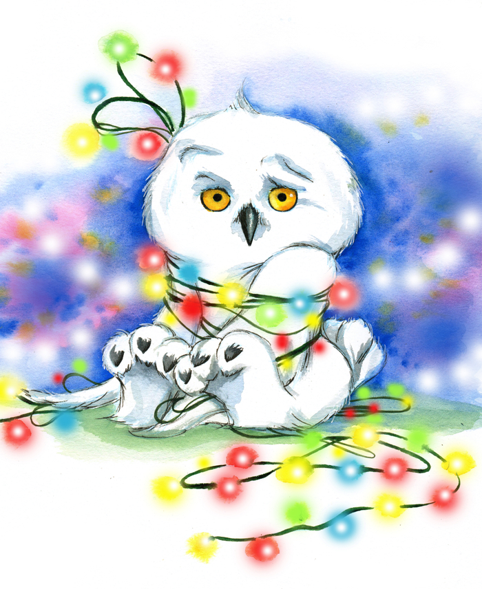 Полярная совушка