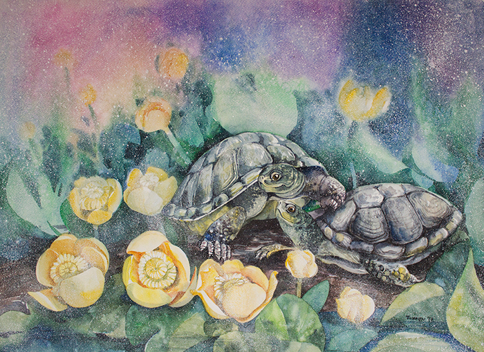 Наше уютное болотце