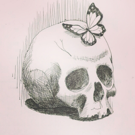 Butterfly & skull