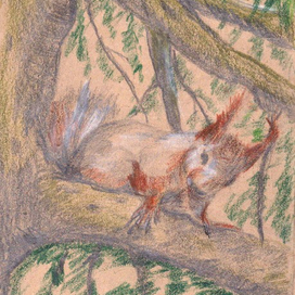 Белочка на сосне  серия мой Кисловодск