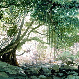 В тени старого анжику