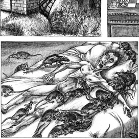 Арехин-2, из иллюстраций.