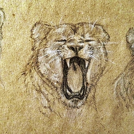 Наброски головы льва