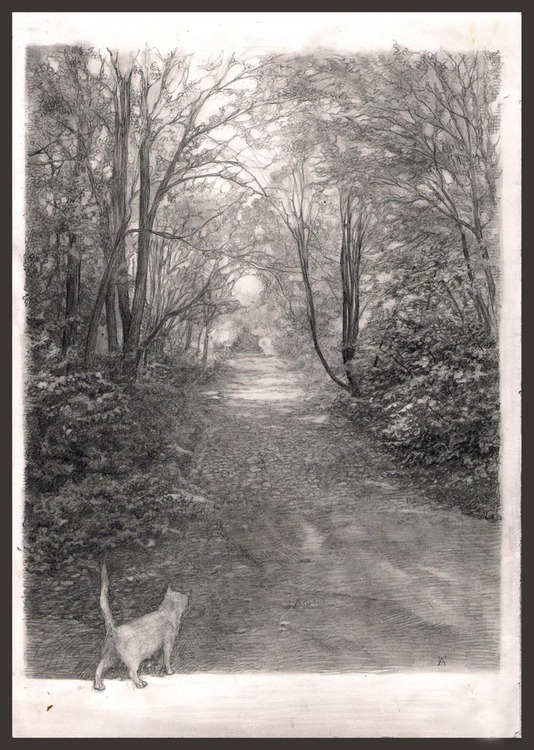 Кошка , которая гуляет...