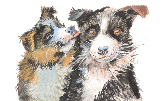 Книжка про тетю собачницу "Собачелла"