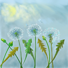 Воздушные одуванчики