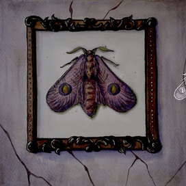 Мотылек / Moth