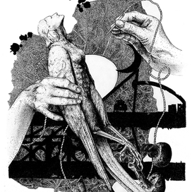 Сирин. Молчание