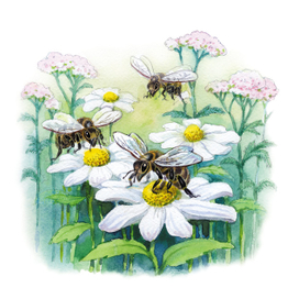 к рассказам 