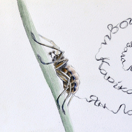 Необыкновенные приключения Карика и Вали