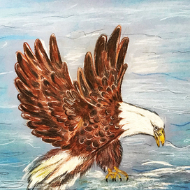 Орёл над водой