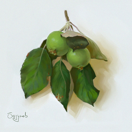 Зеленые яблоки