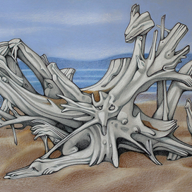 Ольхонская коряга - 2