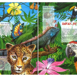 Энциклопедия."Джунгли"