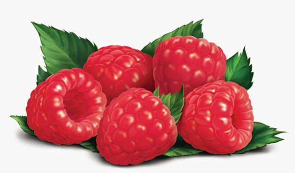 малина для "фругурта"