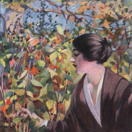 Заросли ежевики