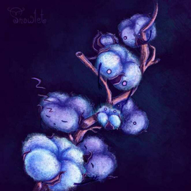 Пушишный хлопок