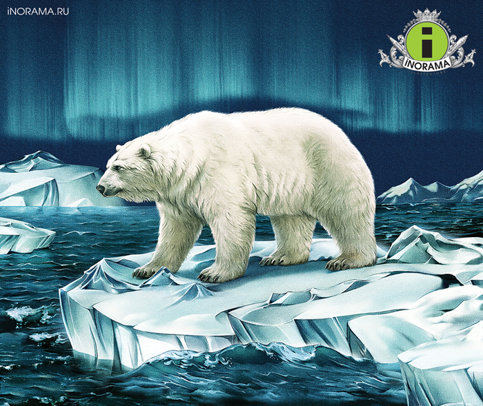 Медведь. Иллюстрация на упаковку