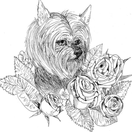 Моя собачка Рози