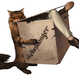 Кот Шредингера