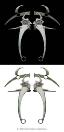 птица (mystericon) 