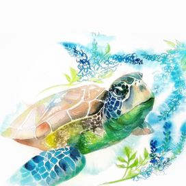 Морская черепаха 