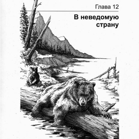 ГРИЗЛИ. В неведомую страну