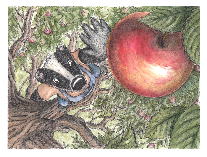 Самое большое и вкусное яблоко