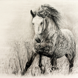 Орловский рысак